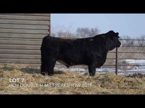 LOT 7 - HOJ DOUBLE H MR FREAKSHOW 801F