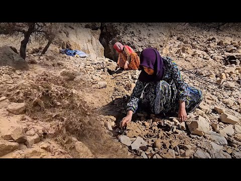 Fariba and Zahra's hike to clean the springs