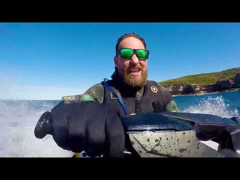 Winter diving in Sydney is the worst