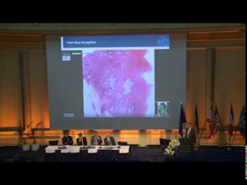 WHS 2012: Keynote Gerd Binnig