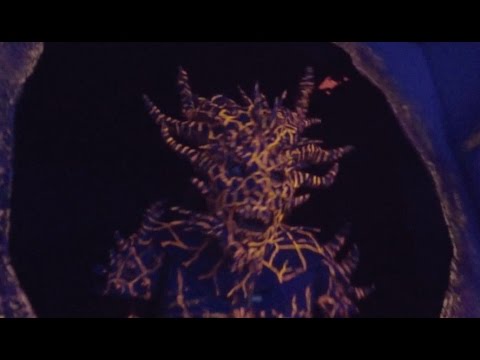 This Is The End 3D maze walkthrough at Halloween Horror Nights Hollywood 2015