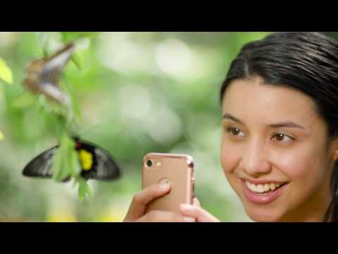 Butterfly Wonderland - Customer Success Story