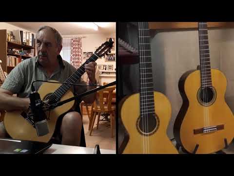 Da Mondscheinige (Gitarrenduo)