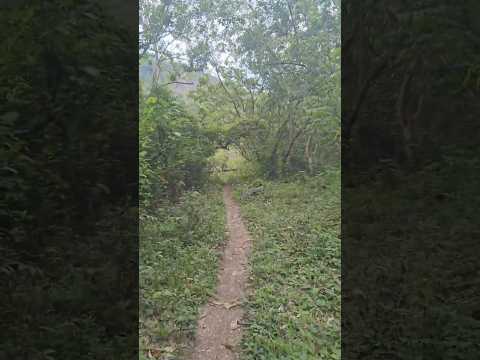 Bajando hacia Cascada EL CHORRERON en Santa María Ostuma #lapaz #elsalvador