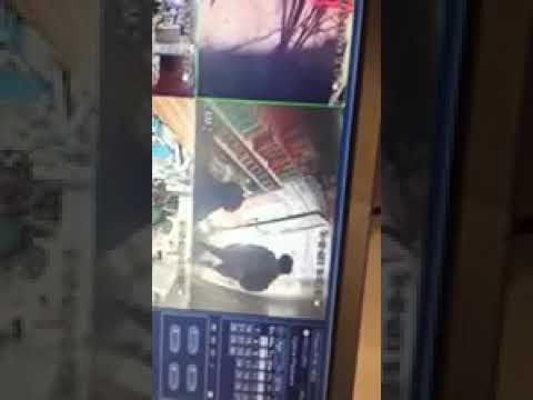 Bronx Pugsley Ave knockout