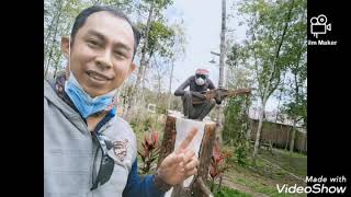 kepoin taman kelempiau