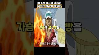 해군 3대장에 무너진 사황 흰수염 해적단