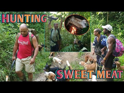 Mr Lappe #1 – Opening Season Madness (You Won't Believe What Happened)