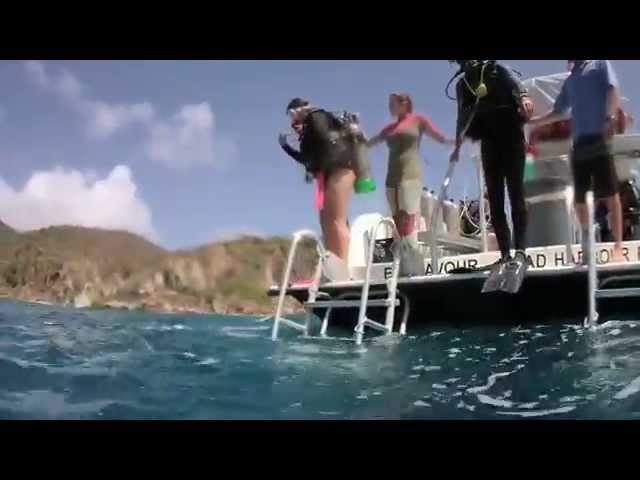 Sail Caribbean Divers - Angelfish Reef dive, British Virgin Islands