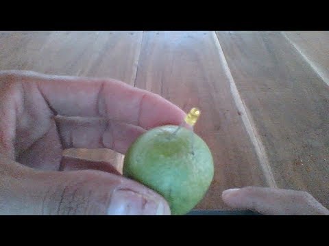 Lemons battery, how to make battery from lemons Video