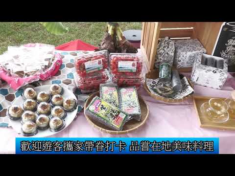 1141113 銅鑼杭菊芋頭節「菊祥如芋」22日起登場(影音新聞)