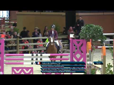 Jeunes Talents 2019 - Equita Lyon - FALCO DE TATIHOU, Champion des 4 ans indoor