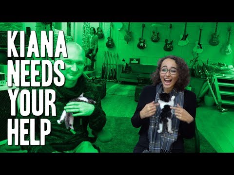 Kiana needs your help! Careful, cute kittens in the video!