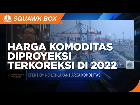  Harga  Komoditas Diproyeksi Terkoreksi di 2022  Ini Efeknya 