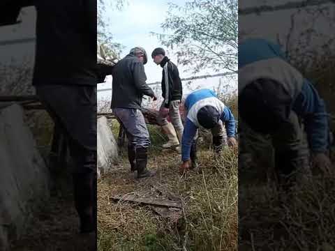 DIA DE PESCA EN PUEBLO BRUGO #brugo #entrerios #pesca #campo