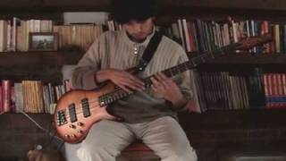 Geometry de Michael Manring