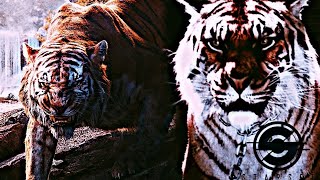 Tigers Tribute - Carnivore [Starset]