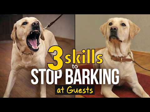 Barking at Guests
