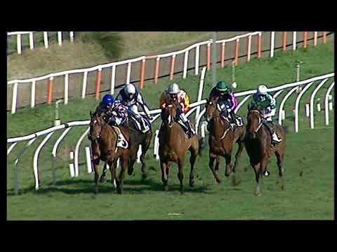 Galoppo 18/01/2021 - 2ª corsa