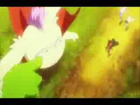 Pokota can't wait to be king!