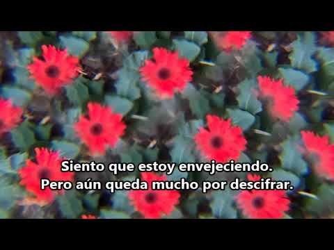 The Peppermint Club - Everything Is Changing ESPAÑOL