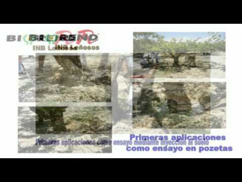 metodos de lucha II.mp4