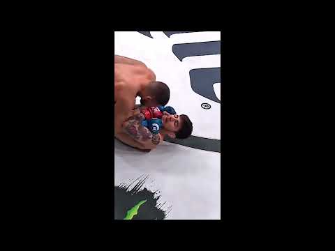 dillon danis vs kyle walker fight highlight full HD.