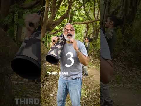 Sharing 5 useful tips for Bird Photography