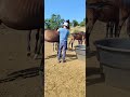 Beau m&acirc;le avec de la force et du cadre 