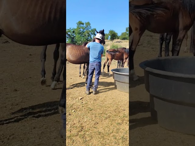 Beau m&acirc;le avec de la force et du cadre 