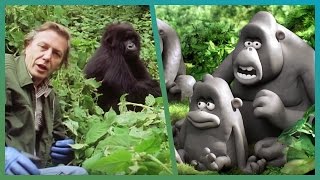 The Gorillas Meet Attenborough ft. Aardman Animations #Attenborough90 - BBC Earth Unplugged