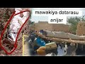 Inalillahi Videon Yadda Gawar Mawakiya a Nijar  🇳🇪 take jan Mutane kasa yaki karbanta