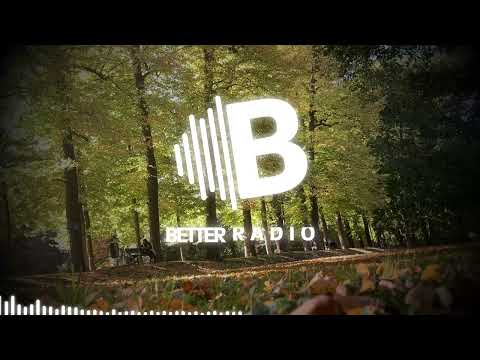 Tom De Neef - Agenda (Bontan Remix)