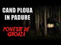 Cand Ploua In Padure Poveste De Groaza