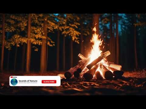 8 Hours Loon Calls With Campfire Sound For Relaxing