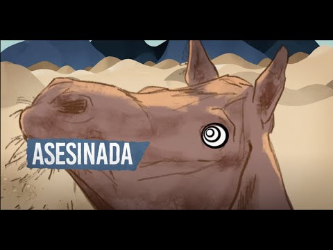Caballo Sin Dueño - Pettinellis