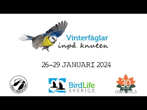 Vinterfåglar inpå knuten - Intervju Frövi fågelklubb