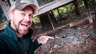 How to SUPER CHARGE Rabbit Manure {with BIOCHAR}