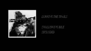 Swallowing Bile - Secluded [Full Vinyl Rip]