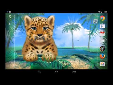 Wild Leopard Video