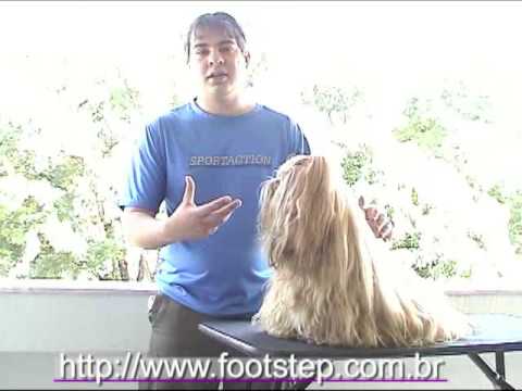 {$row[$i]['name'], ENT_QUOTES,'utf-8'); ?>