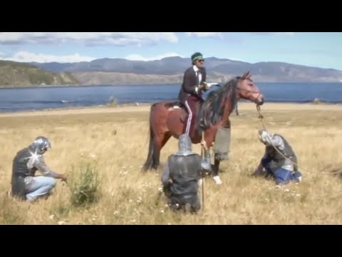 The Phoenix Foundation - 40 Years (Official Music Video)