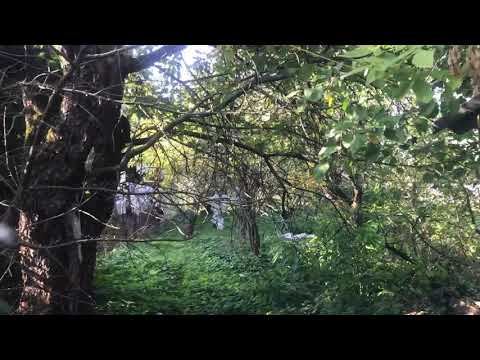 Недорогой #дом #Дмитров #улица #Левонабережная 1 эт 60 кв м #газ #свет 2часть #АэНБИ #недвижимость