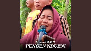 Download lagu Pengen Ndueni (Live) mp3 Download lagu Pengen Ndueni (Live) mp3