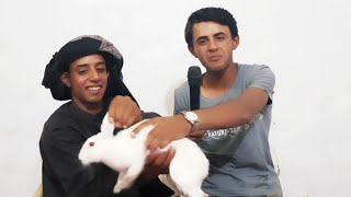 تحشيش الارنب يصير ذيب