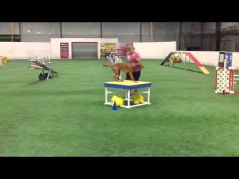 Zest standard Cheswick