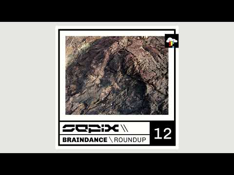 Braindance Roundup Twelve (IDM Mix, Braindance Mix, 2022)