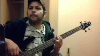 Skankin' Pickle - Onyonghasayo Bass!