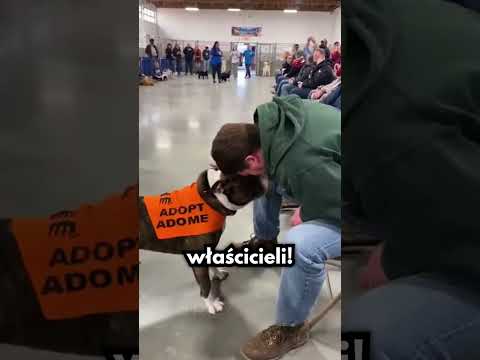 Tym Razem To On Wybiera Właściciela…😍