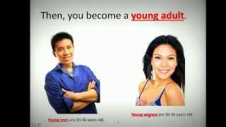 The Human Life Cycle